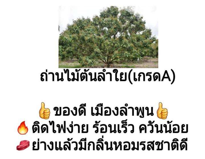 ถ่านไม้-ถ่านไม้ลำใย-เกรด-a-ถ่านไม้เนื้อแข็ง-ถ่านปิ้งย่าง-ถ่านหุงต้ม-ถ่านไม้ไร้ควัน-ใช้หุงต้ม-ก่อไฟ-ติดไฟง่าย-ทนทาน-ขนาด-2-กิโลกรัม