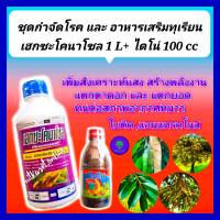 ชุด กำจัดโรค และ อาหารเสริมทุเรียน เฮกซะโคนาโซล 1 L +ไดโน่ อาหารเสริมพืช ขนาด100 cc  ใบติด สังเคราะห์แสง ใบเขียว แตกดอก แตกยอด ขั่วเหนียว