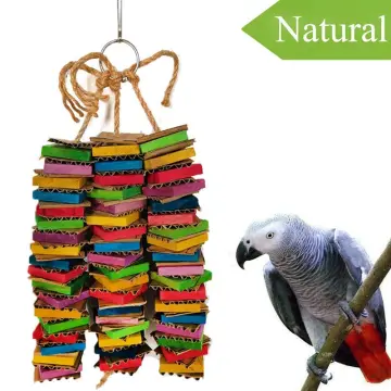 African grey outlet parrot toys sale