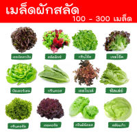 ผักสลัด 100 - 300 เมล็ด ? เมล็ดผักสลัด เมล็ดพันธุ์ผักสลัด ไฮโดรโปนิกส์