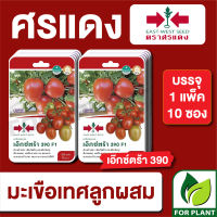 ผักซอง ศรแดง เมล็ดพันธุ์ พันธุ์ผัก มะเขือเทศลูกท้อ เอ็กซ์ตร้า F1 บรรจุแพ็คล่ะ 10 ซอง ราคา 230 บาท