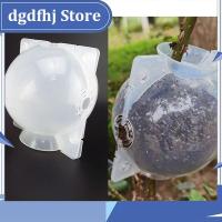 Dgdfhj Shop 12cm Fruit Tree Plant Rooting Ball Root Growing Boxes Case Grafting Rooter Grow Box Breeding Garden Tools Supplies