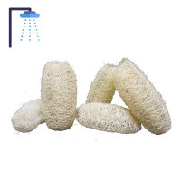 5 ชิ้น ใยบวบขัดหน้า ขัดผิว ใยบวบจิ๋ว ใยบวบธรรมชาติ Natural Fibers Luffa