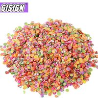 100g Fruit Slices Addition Contain for Filler Charms Accessories Supplies