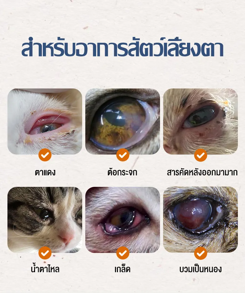 ยาหยอดตาแมว ยาหยอดตาอุ สำหรับอาการสัตว์เลี้ยงตา  ใช้กับตาแดง/ต้อกระจก/สารคัดหลังออกมามาก/น้ำตาไหล/บวมเป็นหนอง 60Ml  สูตรอ่อนโยน | Lazada.Co.Th