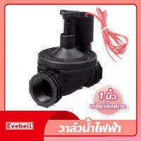 โซลินอยด์วาล์ว วาล์วน้ำไฟฟ้า AC220V เกลียวใน ขนาด 1 นิ้ว Solenoid Valve วาล์วรดน้ำ