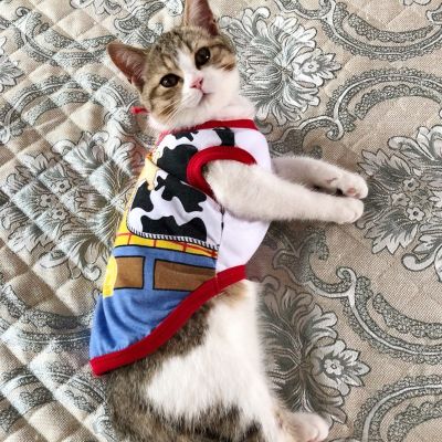 Cute Sphynx Cat Shirt Vest for Cats Gotas Summer Breathable Pet Clothes Clohting Katten Kedi Mascotas Costume Dog Suit Ropa Para