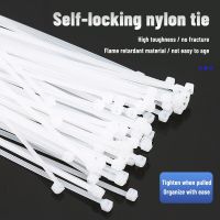 100pcs Cable Ties Strong Self-Locking Nylon Plastic Cable Tie Buckle Plastic Clamps Fastening Ring Wire Holder Cable Organizer Cable Management