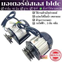 มอเตอร์บัสเลส bldc ทำลิ่ม 16มิล(ขนาดแกน)+พูเล่+ทำฐาน ใช้งานได้หลากหลาย โซล่าเซลล์ รถไฟฟ้า สินค้ามีพร้อมส่ง