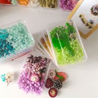 【cw】 Dried Making Candle Crafts Epoxy Resin Pendant Necklace Jewelry Hot