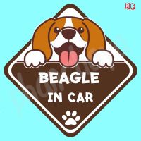 ( โปรโมชั่น++) คุ้มค่า DIC1 สติ๊กเกอร์ ติดรถ Beagle Dog In Car สติ๊กเกอร์ติดรถ แต่งรถ car sticker ราคาสุดคุ้ม สติ ก เกอร์ ติด รถ สติ๊กเกอร์ ออฟ โร ด สติ ก เกอร์ ข้าง รถ กระบะ สติ ก เกอร์ ข้าง รถ สวย ๆ