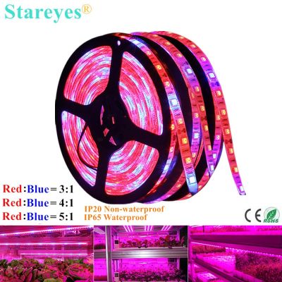 1 Roll SMD 5050 5m LED Strip Grow light Full Spectrum LED Flower Plant Phyto Growth lamp For Greenhouse Hydroponic Plant Growing Adhesives Tape