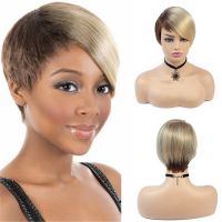 【LZ】☢  BCHR Short Pixie Cut Wigs Straight Synthetic Hair High Temperature Fiber Ombre Brown Blonde Wig for Women