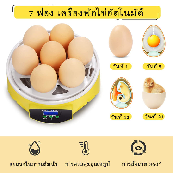 ส่งฟรีด่วน-ตู้ฟักไข่ถูกๆ-7-ฟอง-ตู้ฟักไข่ไก่-เครื่องฟักไข่-เครื่องฟักไข่อัตโนมัติ-อัตราสำเร็จสูง