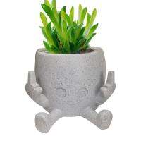 Head Planter Funny Head Flower Pots Anthropomorphic Design Decoration Accessory for Windowsills Table Tops Gardens outgoing