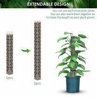 Moss Pole สำหรับพืช Monstera ใหม่ Stackable โปร่งใส Plant Stakes วางซ้อนกันได้โปร่งใส Plant Stakes สำหรับพืชในร่ม Plant