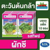 ผักซอง ตะวันต้นกล้า SP ผักชี รสทิพย์ บรรจุแพคล่ะ 10 ซอง ราคา 64 บาท