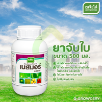 [G] เบสมอร์ สารจับใบ ขนาด 500 มล. ยี่ห้อ เจียไต๋ (ช่วยให้สารเคมีดูดซึมเข้าพืชได้รวดเร็ว และแห้งไว) จำหน่ายโดย GROWCERY