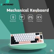 Mathewshop DUKHARO VN66 mechanical keyboard with Olivia Doubleshot Keycap