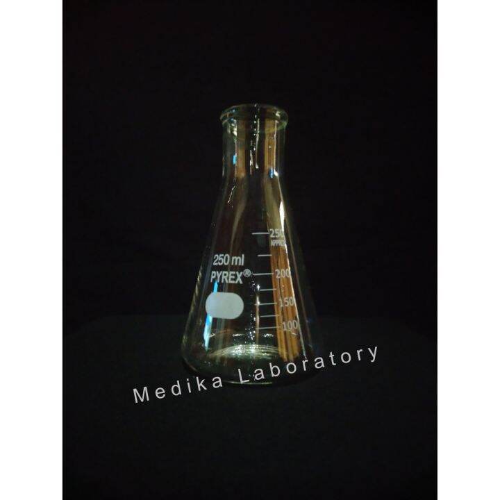 Erlenmeyer Flask 250 ml PYREX Lazada Indonesia