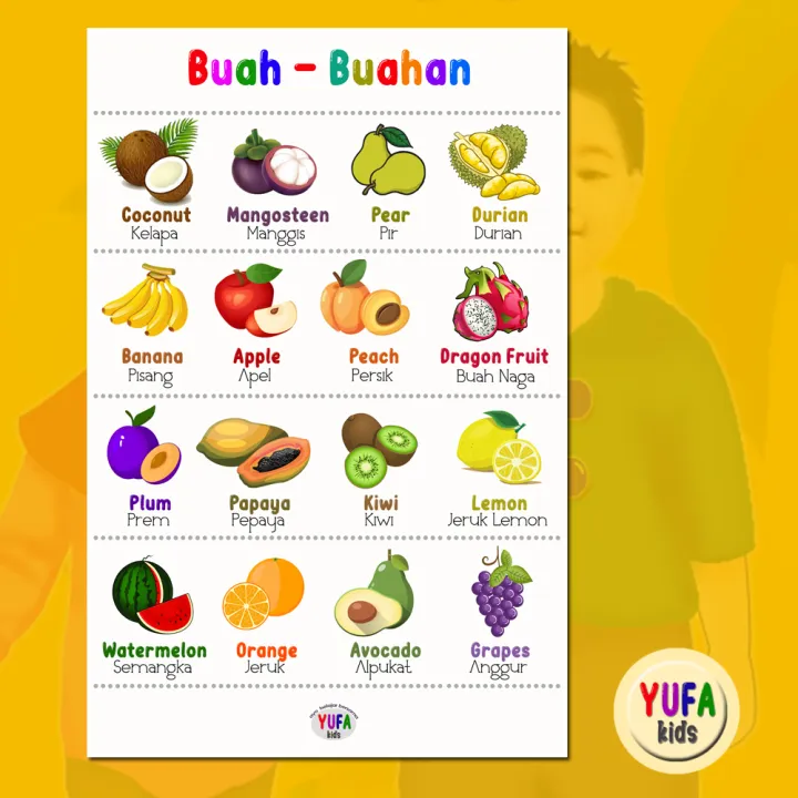 069 Poster Buah - Buahan - Poster Edukasi Anak - Poster Belajar Anak ...