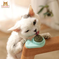 BP【Fast Delivery】Pet Rotary Catnip Ball Snail Shaped Licking Balls ทำความสะอาดฟัน Molar ของเล่น Healthy Snack ToysCOD【cod】