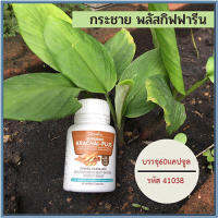 กระชายผง250มก.Giffarinกระชายพลัสเข้มข้นกว่าการทานแบบสด/รหัส41038/จำนวน1กระปุก(60แคปซูล)??ควรไปตำด่วน??