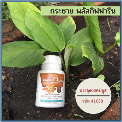 กระชายผง250มก.Giffarinกระชายพลัสเข้มข้นกว่าการทานแบบสด/รหัส41038/จำนวน1กระปุก(60แคปซูล)🌺🦋ควรไปตำด่วน🌺💎