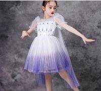 [COD] Frozen 2 Childrens Puff Sleeve Puffy Trailing Skirt Sequined Costume