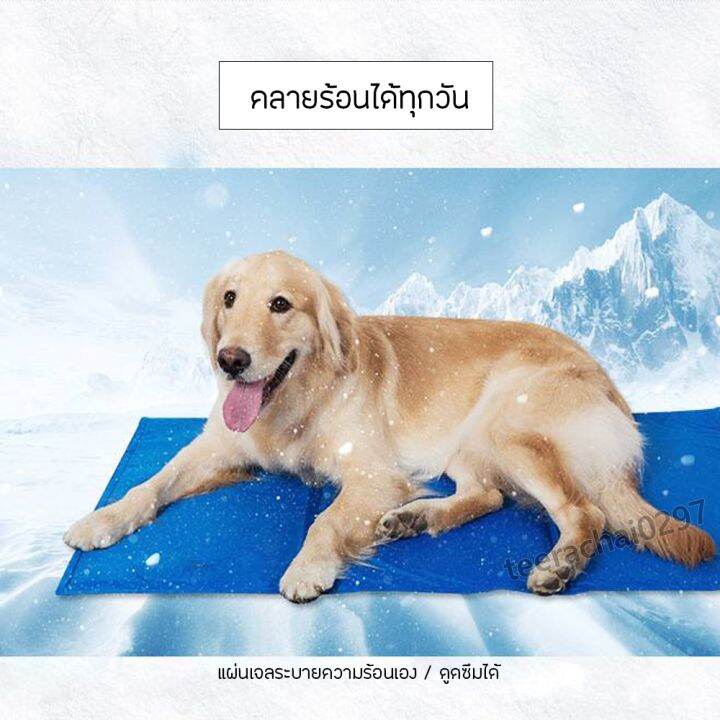 pet-cool-mat-ที่นอนเจลเย็นใหญ่-สำหรับสัตว์เลี้ยง-แผ่นเจลเย็น-ที่นอนเย็น-แผ่นทำความเย็น-ที่นอนสัตว์เลี้ยง-เบาะนอนเย็น