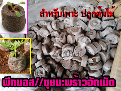 ขุยมะพร้าว พีทมอส สำหรับแช่น้ำให้ฟู แล้วนำไปเพาะเมล็ดต้นไม้ พร้อมจัดส่งจากไทย