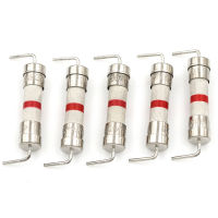 ✈️Ready Stock✈ 5pcs 8A 250V 5*20mm Ceramic Body time-LAG Axial Lead FUSE