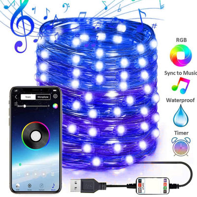 2021Bluetooth String Light for Christmas Wedding Halloween APP Control String Lamp 16 Million Colors 29 Dynamic Modes Fairy Lights