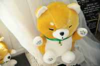 [In stock] ตุ๊กตาแมวชิบะอินุอาคิตะตุ๊กตาตุ๊กตายัดนุ่นหมอนกอดของขวัญวันเกิดสำหรับเด็กเครื่องประดับสำหรับเด็กผู้หญิง