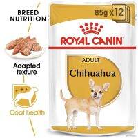 พลาดไม่ได้ โปรโมชั่นส่งฟรี ❦☍[ยกกล่อง 12 ซอง] Royal canin Chihuahua อาหารเปียก สุนัขโต พันธุ์ชิวาวา อายุ 8 เดือนขึ้นไป 85 กรัม