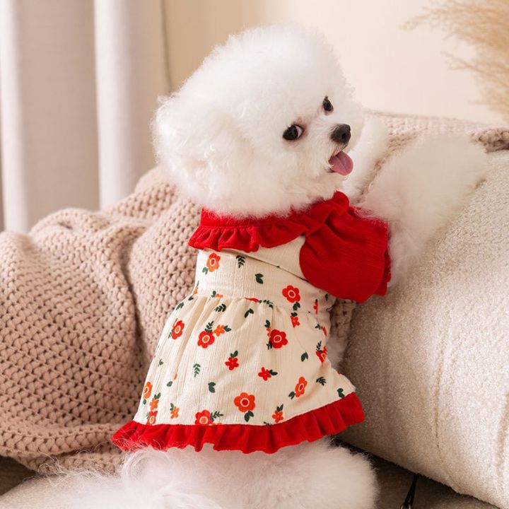 Những chiếc váy đầm hoa tiểu thư cho chó mèo vừa dễ thương vừa giúp cưng của bạn giữ ấm. Hãy xem ảnh thật tiệm tự và cảm nhận cùng những gương mặt dễ thương của các chú cún mèo ngoài đời thật.