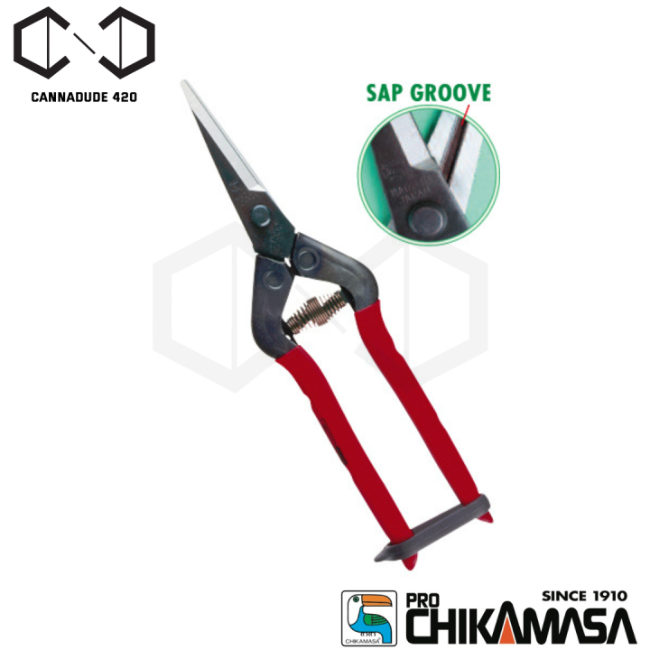 กรรไกร กรรไกรตัดกิ่ง Chikamasa Scissors T-550 – Straight Stainless Coated ส่งจากไทย Hand made by made in Japan กรรไกรตัดต้นไม้ ตัดกิ่้ง กรรไกรตัดดอกไม้ กรรไกรทริม T-550