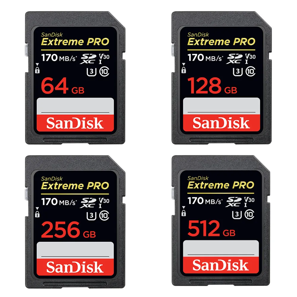 SanDisk SDカード SDXC 64GB UHS-I U3 170MB s SDSDXV2-064G-GNCIN ネコポス送料無料