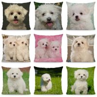 【LZ】₪►  Capa de almofada 45x45cm bichon frise fronha cão padrão sofá cadeira de carro decoração dwg046