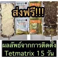 ❀ส่งฟรี เหยื่อปลวก กำจัดปลวก เหยื่อกำจัดปลวก ยาปลวก อาหารปลวก ฆ่าปลวกตายยกรัง Termatrix สินค้าปี 66▲