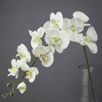 Mayitr 11หัวDIYประดิษฐ์ผ้าไหมดอกฟาแลนนอปซิสButterfly Orchid Home Decor