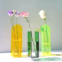 Vase decoration Acrylic ins creative home art hotel Simple living room Table flower arrangement Water culture vase decor