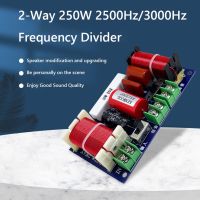 2PCS 2-Way 250W 2500Hz-3000Hz Frequency Divider DIY Speaker Filter Circuit Home Theater Hifi Stereo Audio Crossover Filters