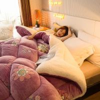 UVR Thickened And Enlarged Winter Lamb Wool Quilt Double-sided Warm Velvet Student Snowflake Fabric Double Hotel Family