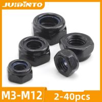 JUIDINTO 2-40pcs Black Nylon Lock Nuts M3 M4 M5 M6 M8 M10 M12 Black Plated Self-locking Nut Locknut with Blue Nylon Insert Nails Screws Fasteners