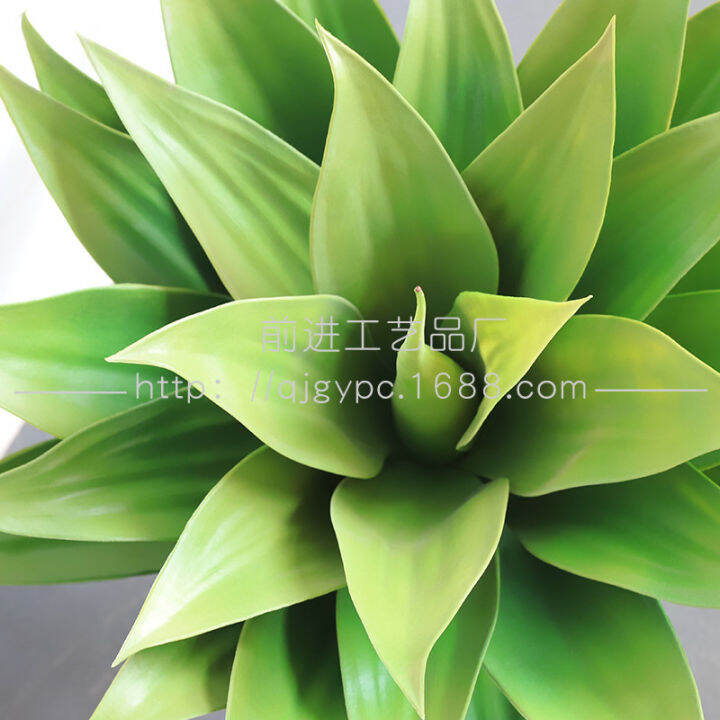 agave-americana-psammophyte-ภูมิทัศน์จำลองการจับคู่กับพืชสีเขียวจำลองและ-flowershuilinshen-เท็จ