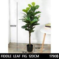 ?สินค้าขายดี? [120CM]ต้นไม้ปลอม ต้นไทรใบสัก FIDDLE LEAF FIG ต้นไม้ประดิษฐ์