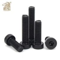 DIN7984 M3 M4 M5 M6 M8 M10 M12 Grade 8.8 steel Black Hex Hexagon Socket Thin Low Short Profile Head Allen Cap Screw Bolt B166