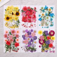【CC】▩♙  Real Dried Flowers Pressed Dry Manual Painting Aromatherapy Candle