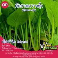 เมล็ดพันธุ์ เขียวกวางตุ้ง เอ็ดเวิร์ด บรรจุ 10 กรัม [โปรโมชั่น ซื้อ10แถม1 คละได้]